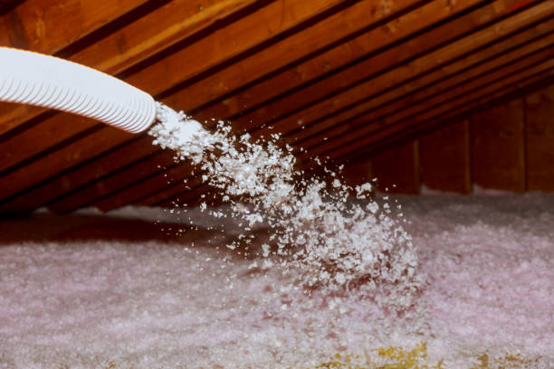 Insulation Inspection Services in Hart, TX