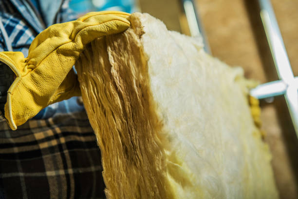 Best Insulation Removal  in Hart, TX