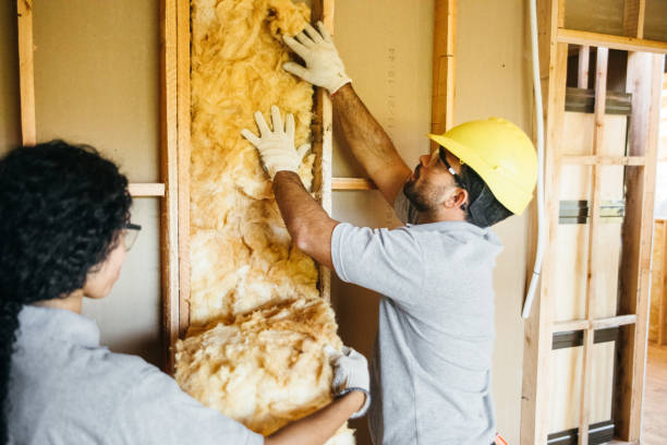 Best Insulation Contractors for Homes  in Hart, TX
